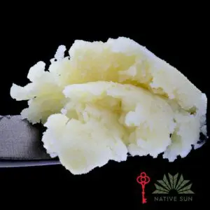 Native Sun Mimosa Evo Live Hash Rosin