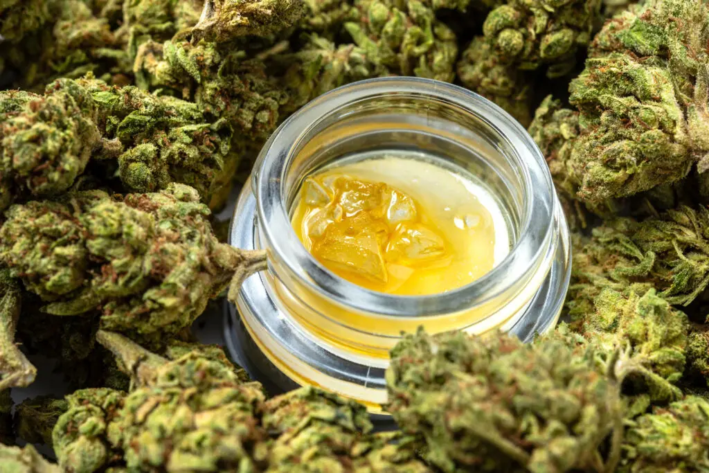 Cannabis concentrate surrounded by flower