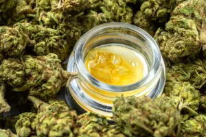 Cannabis concentrate surrounded by flower