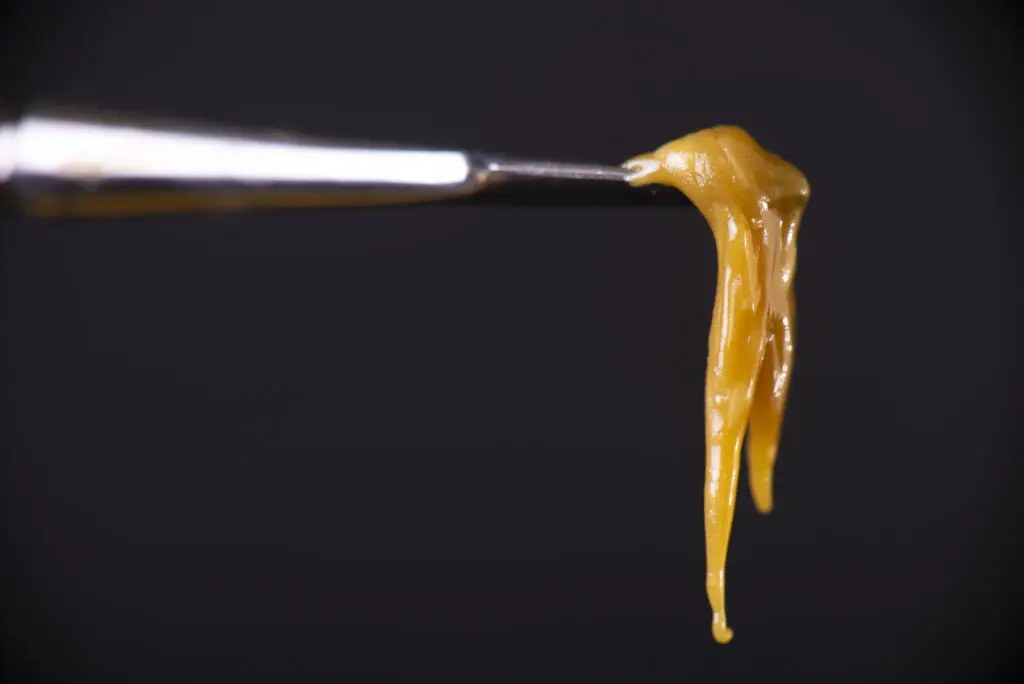 cannabis concentrate on a dab tool