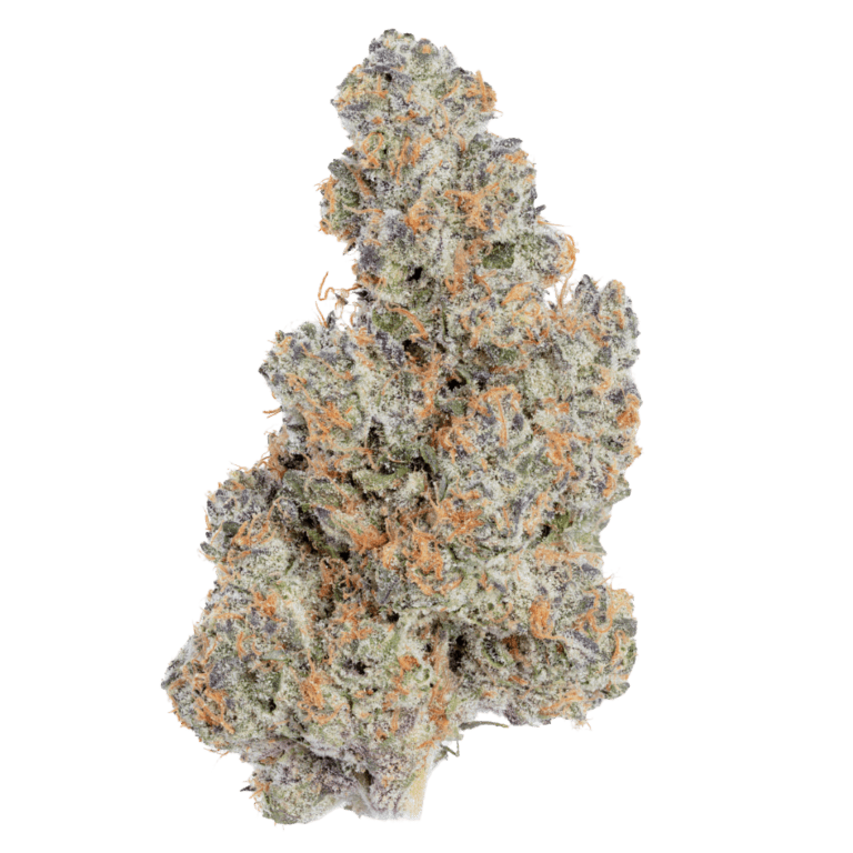 Belladonna