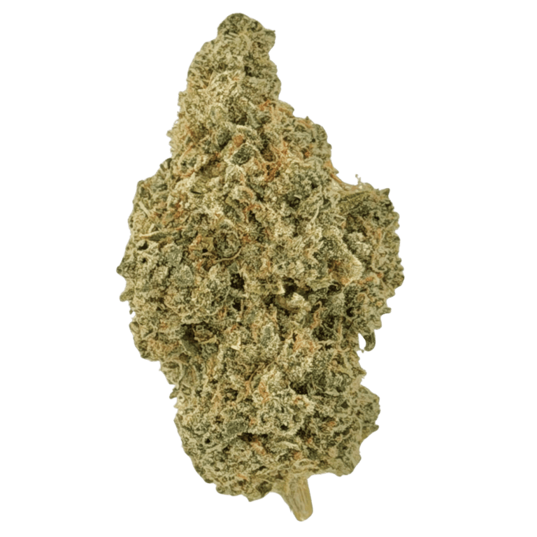 King Cheese (1)