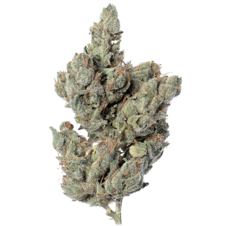 Kosher Kush nugg 2