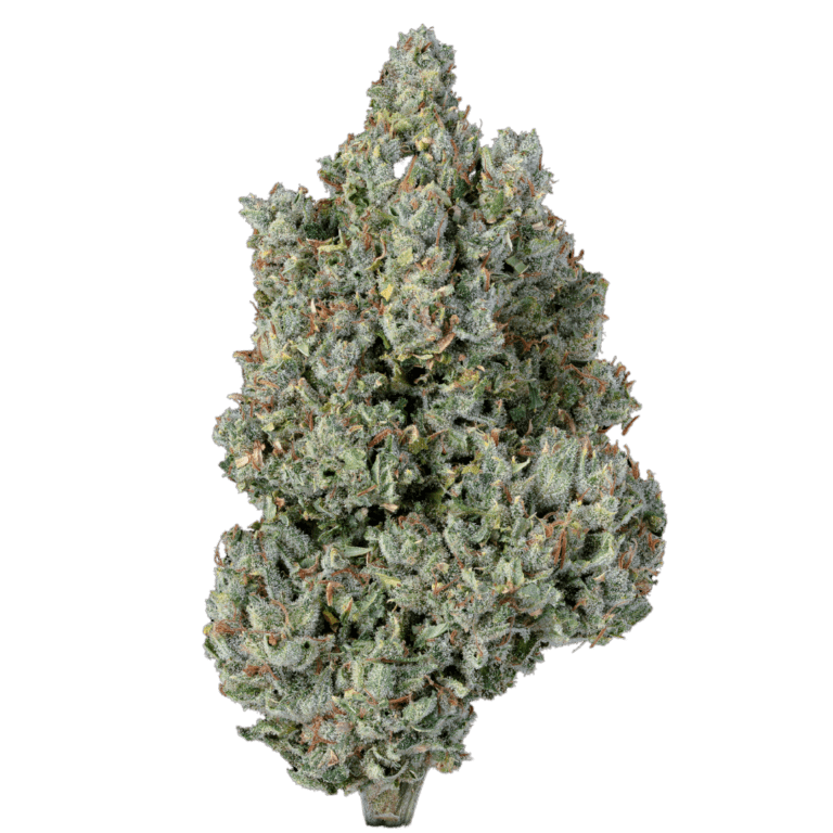 Kuzcos Poison (5)
