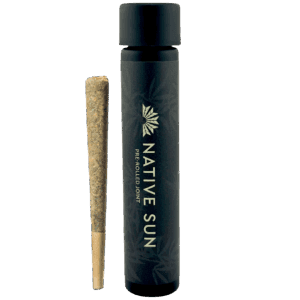 illikoi 1 g preroll and case