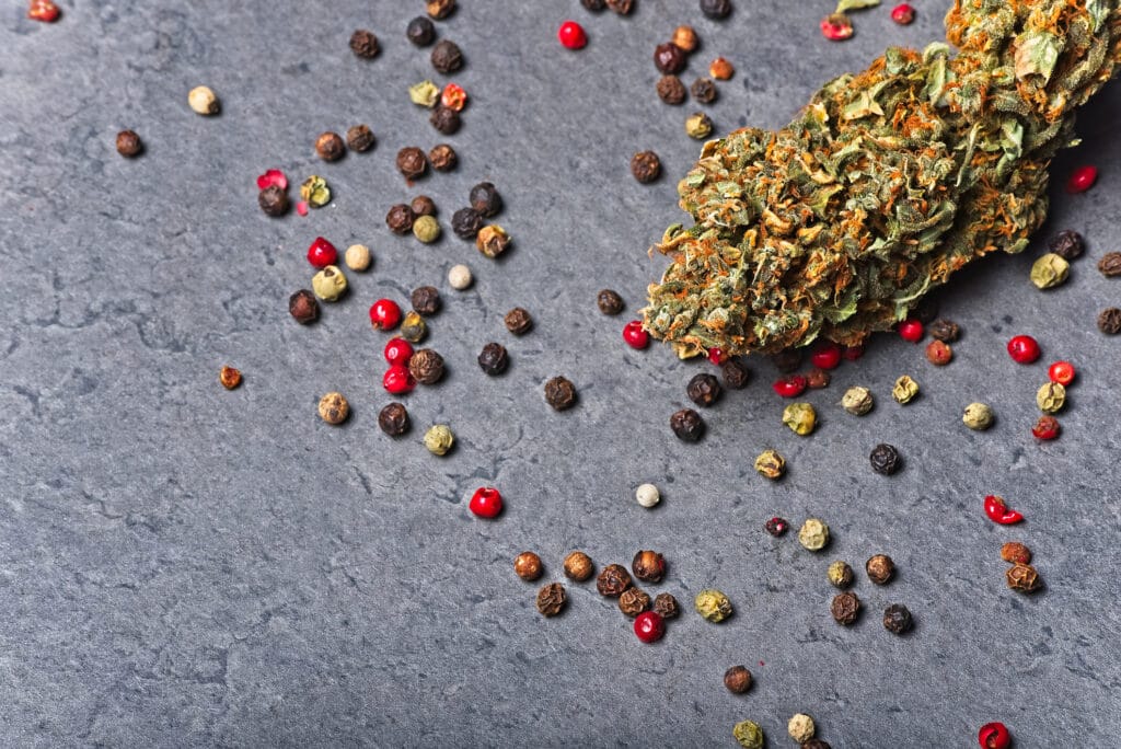 cannabis with pepper to represent caryophyllene terpene