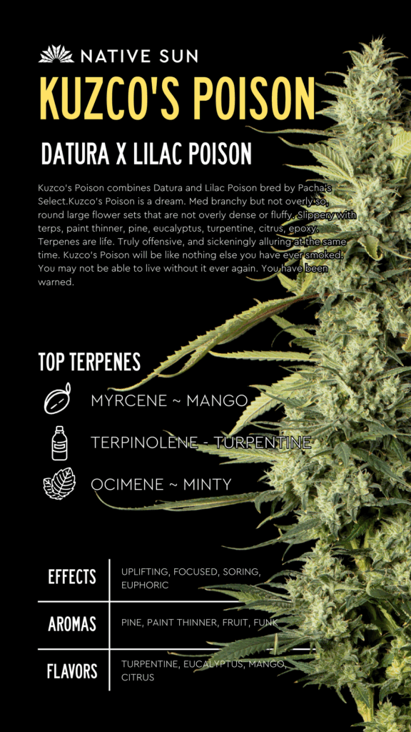 Kuzco's Poison info sheet