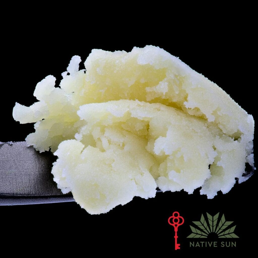 Native Sun Musk #1 Live Hash Rosin