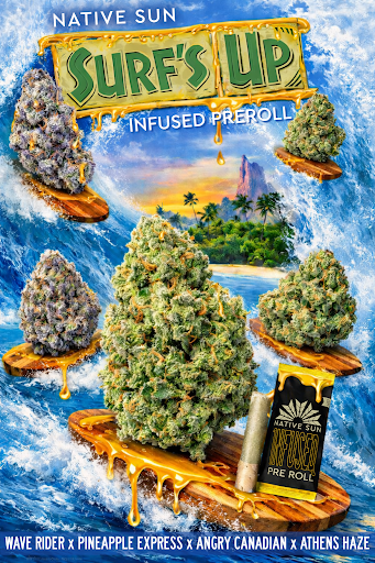 surfs-up-infused-preroll